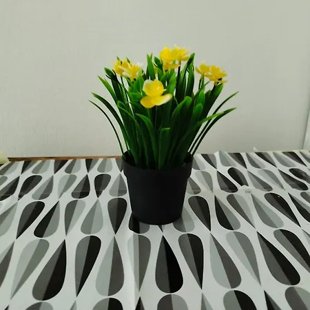 Latin Bridge * Sarajevo