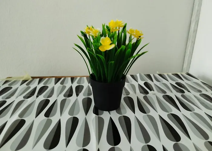 Latin Bridge * Sarajevo